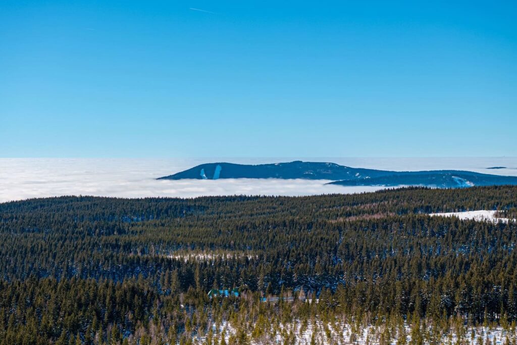 DJI_20250116124240_0346_D-HDR