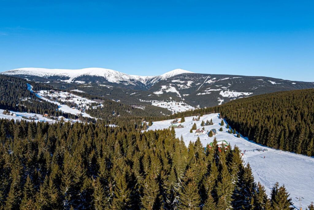 DJI_20250116124442_0362_D-HDR