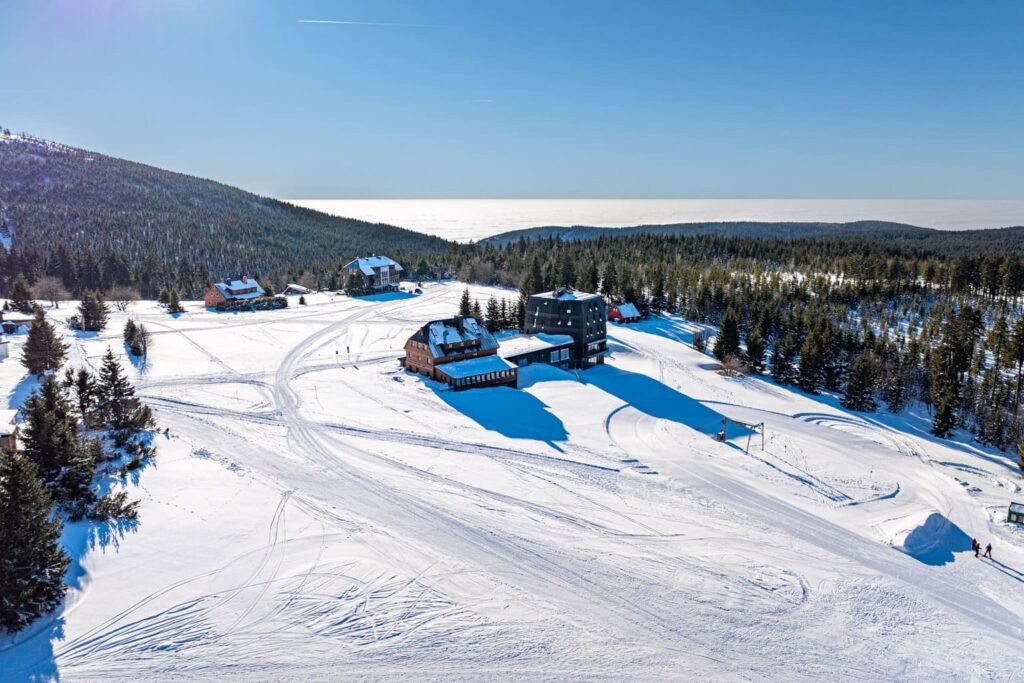 DJI_20250116124800_0387_D-HDR